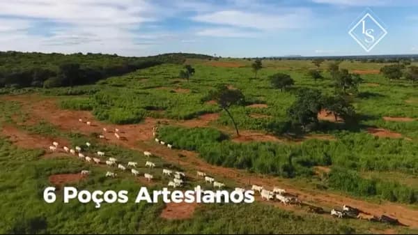 FAZENDA de 1304 ha, em São João da Ponte, a 110 km de Montes Claros