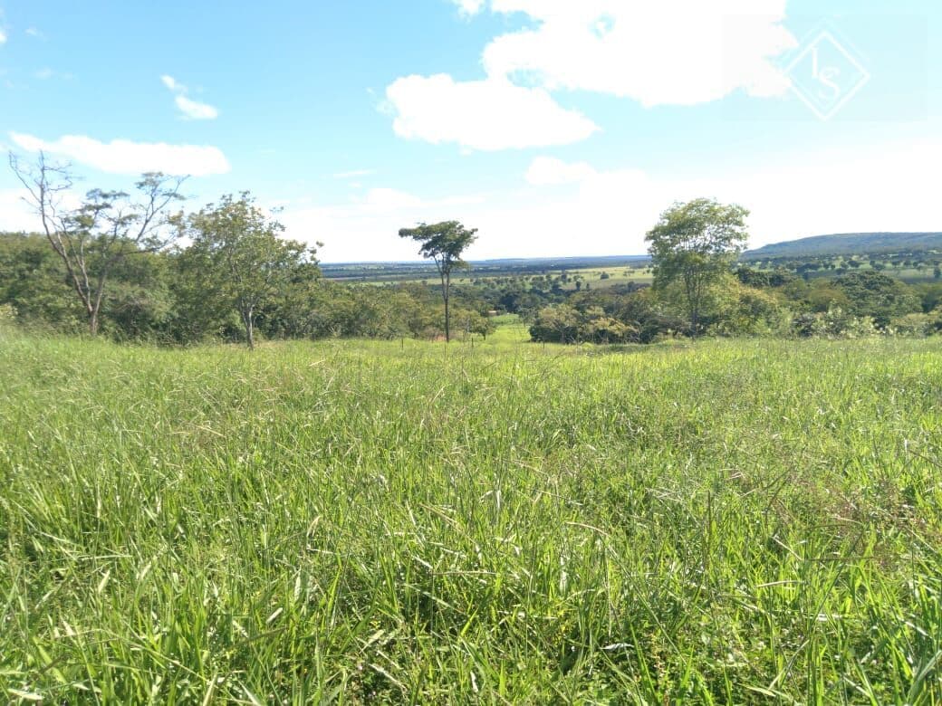Fazenda de 20 hectares em Curvelo. Todo formado, com casa sede casa de caseiro e córrego