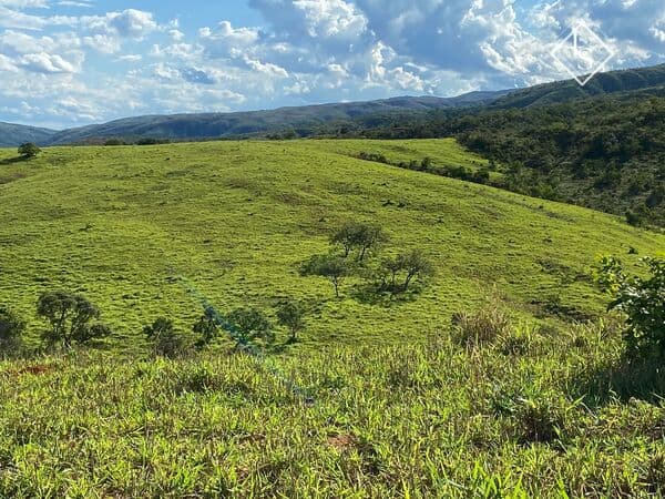 Fazenda município Abaeté com córrego, nascente, açudes