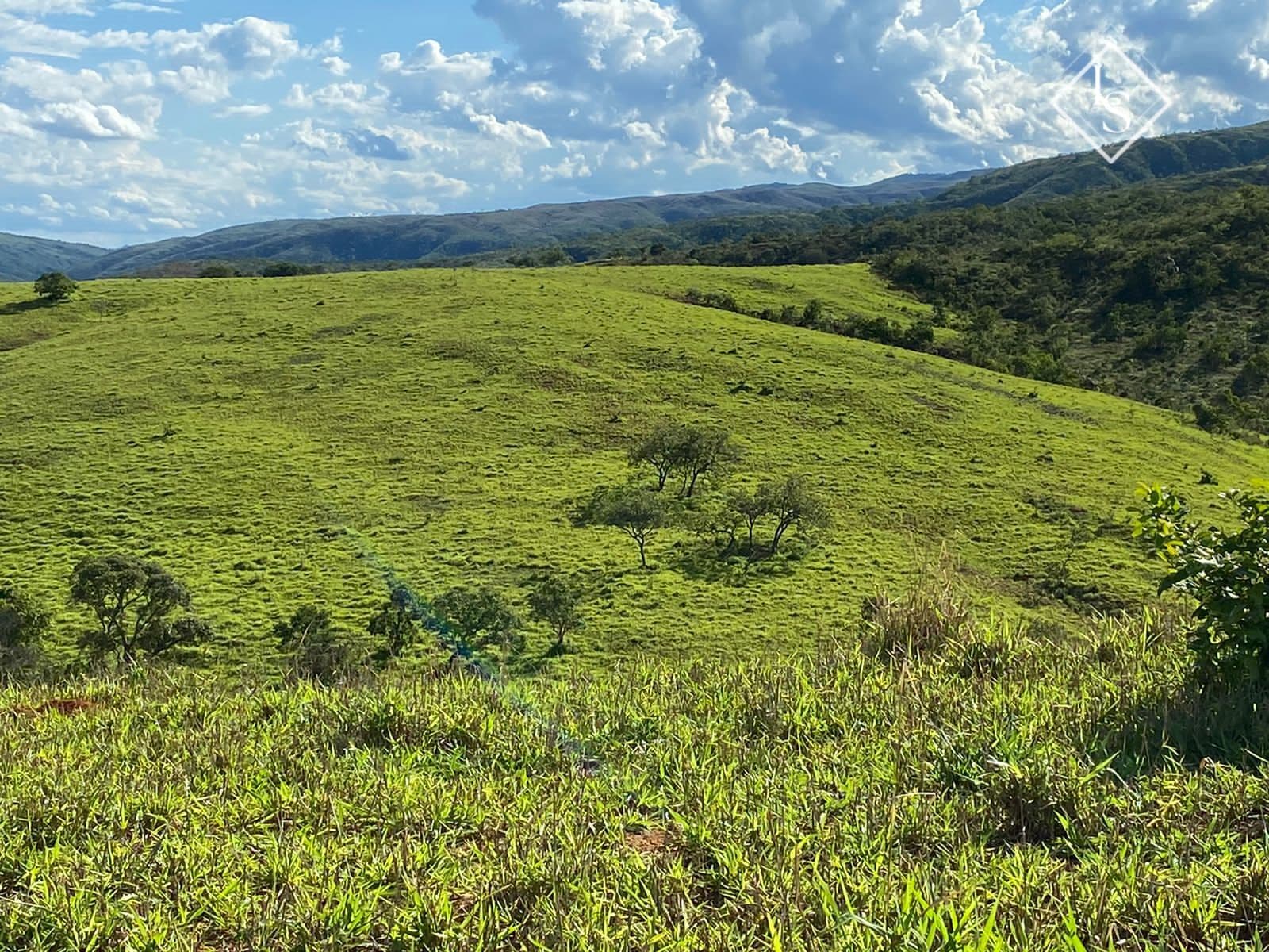 Fazenda município Abaeté com córrego, nascente, açudes