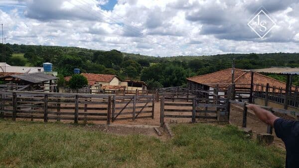 FAZENDA DE 535 hectare em Curvelo, 80% plana e terra de cultivo, toda formada