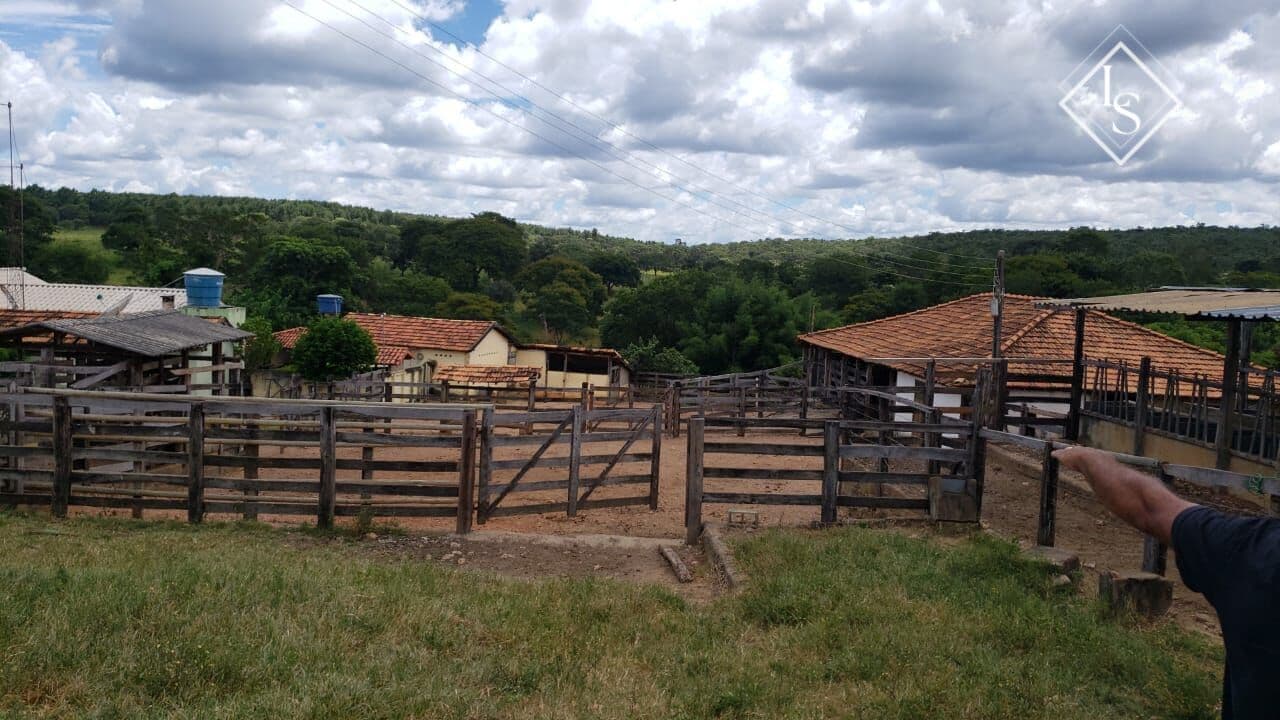 FAZENDA DE 535 hectare em Curvelo, 80% plana e terra de cultivo, toda formada