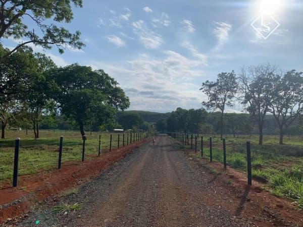 Fazenda em Felixlândia 20 hectares, casa, curral e córrego