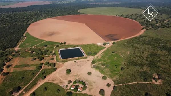 EXCELENTE FAZENDA DE 1.254 HA COM PIVÔ NAS MARGENS DO SÃO FRANCISCO