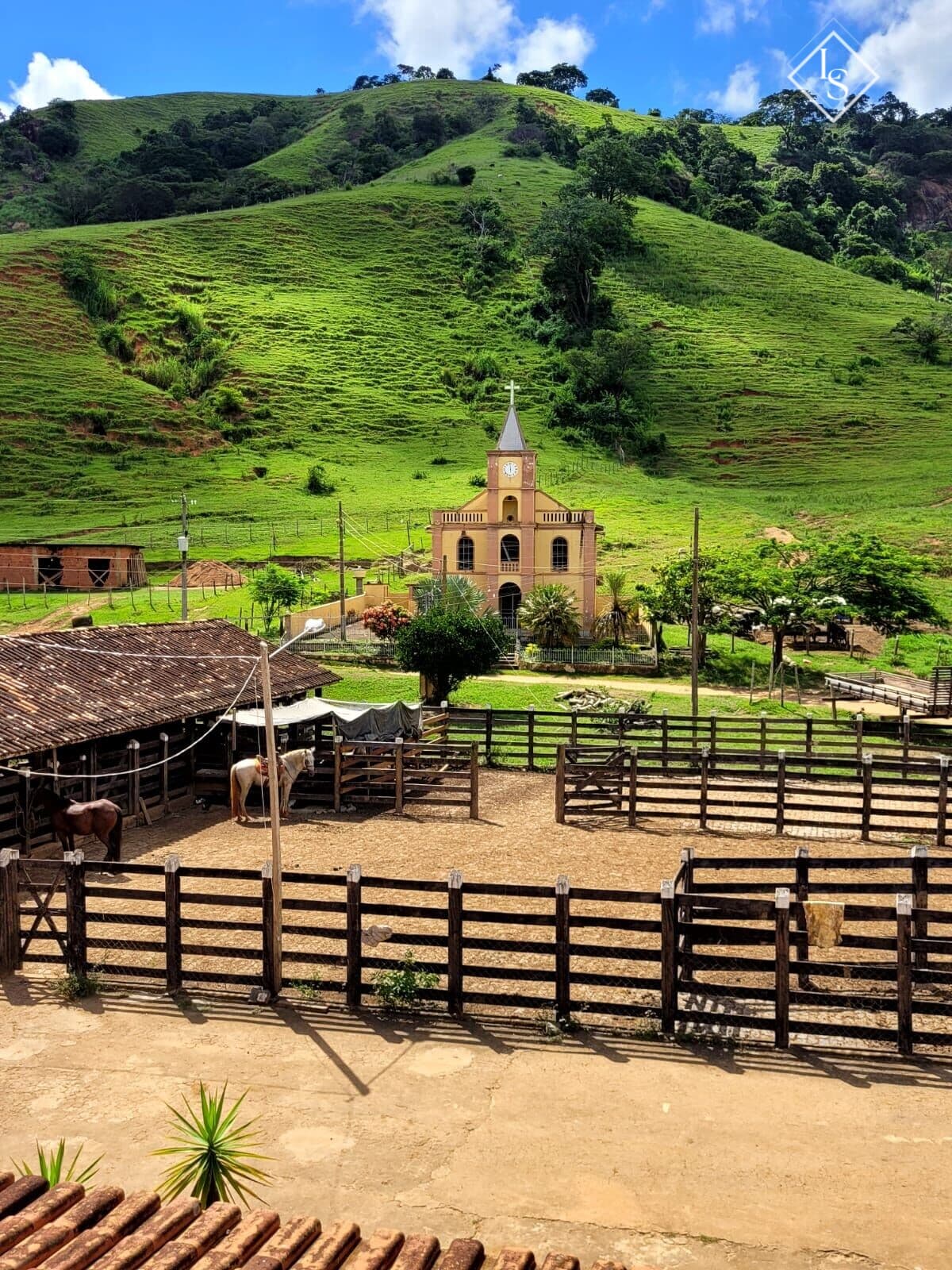 FAZENDA DE 479 HECTADE EM INHAPIM- MG COM DUPLA APTIDÃO EM CAFÉ E GADO.