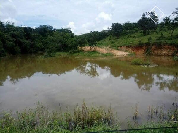 FAZENDA DE 96 hectares, Entre jequitibá e Santana de pirapama Completa com casa, pastagem e água