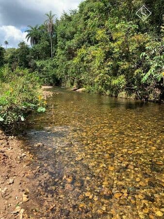FAZENDINHA DE 2 HECTARES em jaboticatubas. Com rio limpo nos fundos e terra de cultura