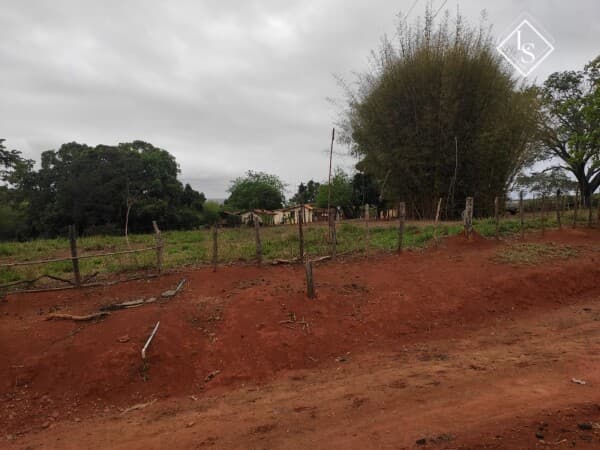 Fazenda de 326 hectares, localizada em Felixlândia-MG, pra gado, com Rio do Peixe