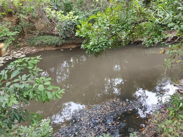 Fazenda de 62 hectares em Curvelo/MG às margens do rio maquine com área - 70% formada