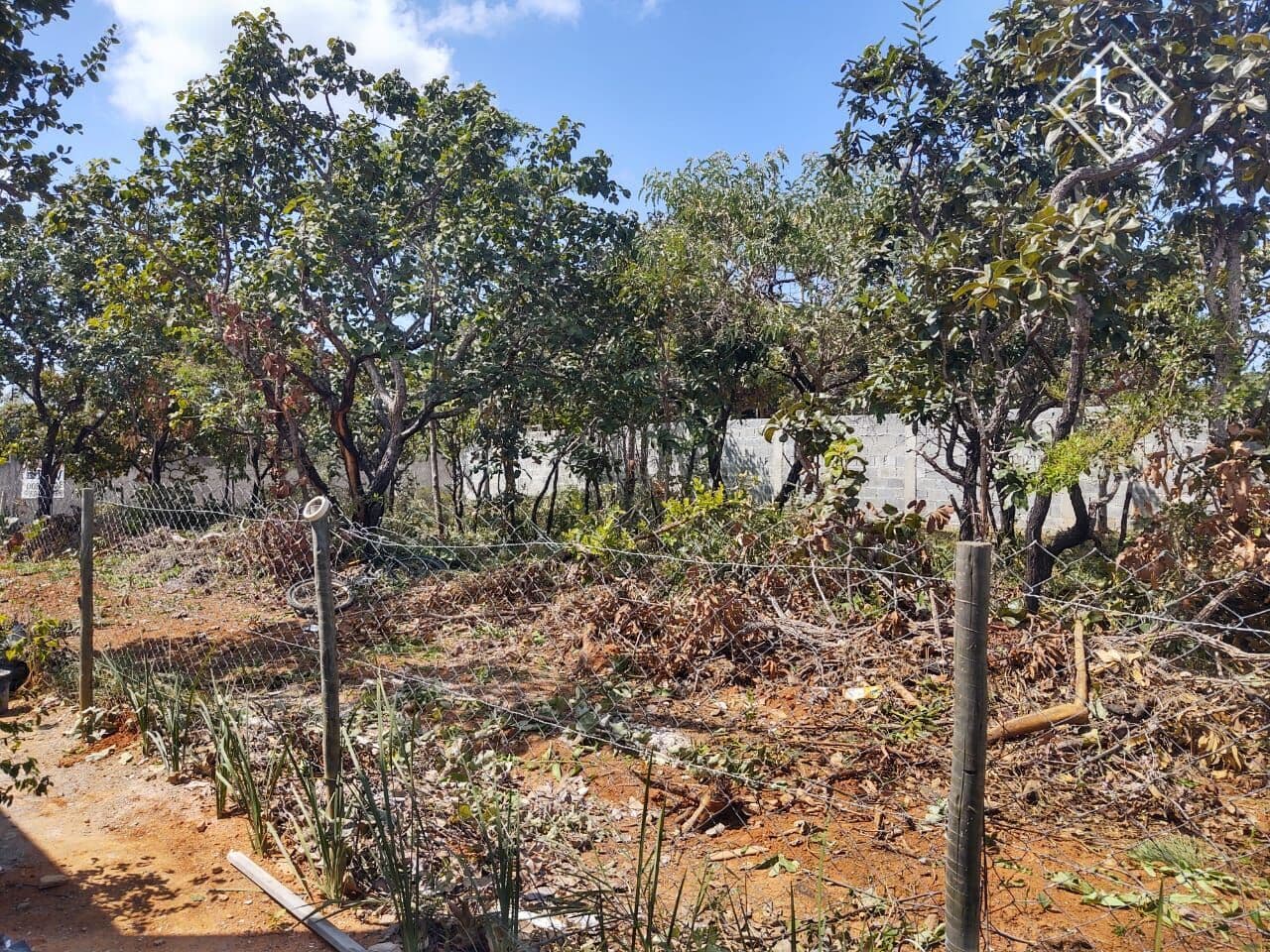 Lote 1000m2 na avenida são sebastião Lagoinha de Fora Lagoa Santa/MG