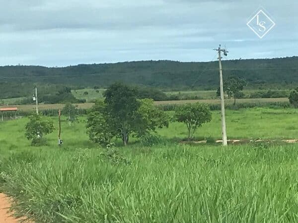 Fazenda de 313 hectares em Varzea da Palma, Margeada pelo rio São Francisco