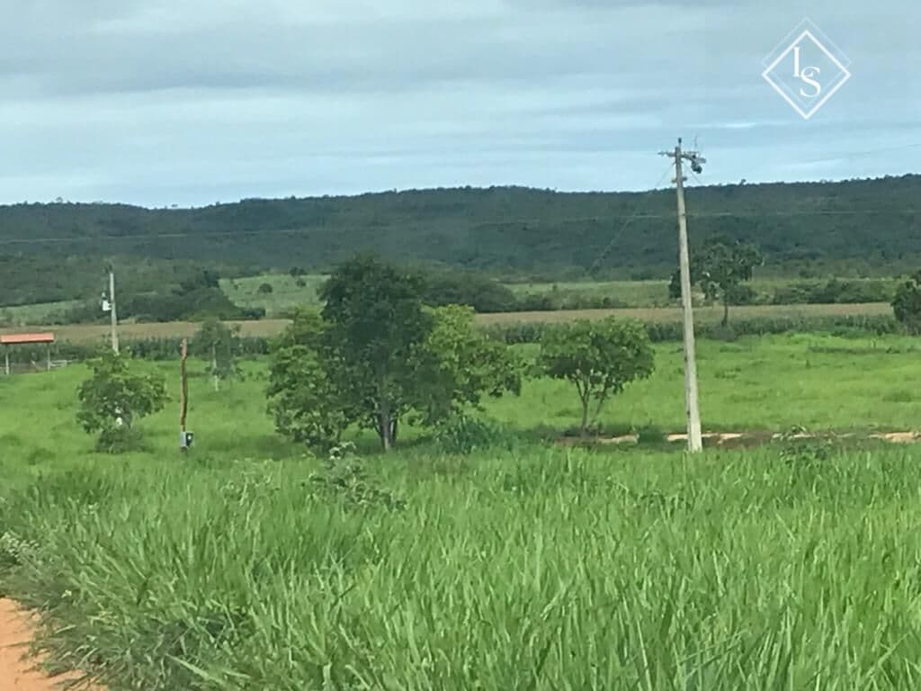 Fazenda de 313 hectares em Varzea da Palma, Margeada pelo rio São Francisco