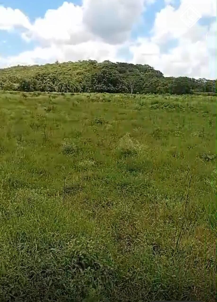 FAZENDA com 67 hectares, dupla aptidão, margem do Rio das velhas