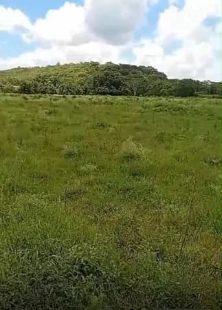 FAZENDA com 67 hectares, dupla aptidão, margem do Rio das velhas