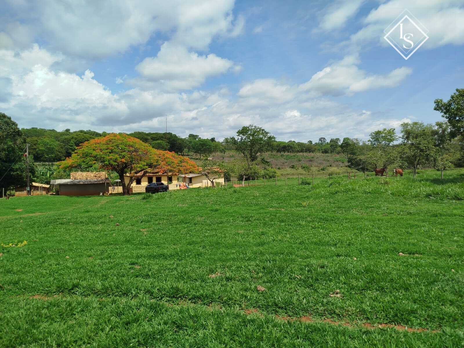 LINDA FAZENDA EM CURVELO - Formada e terra de cultura calcária, Lagoa perene