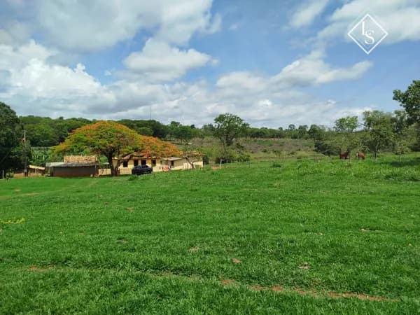 LINDA FAZENDA EM CURVELO - Formada e terra de cultura calcária, Lagoa perene