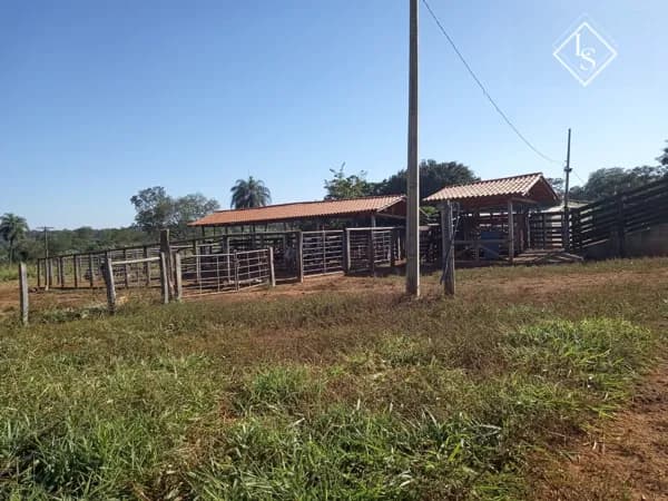Fazenda de 564 hectares toda formada. 28 km do Trevão
