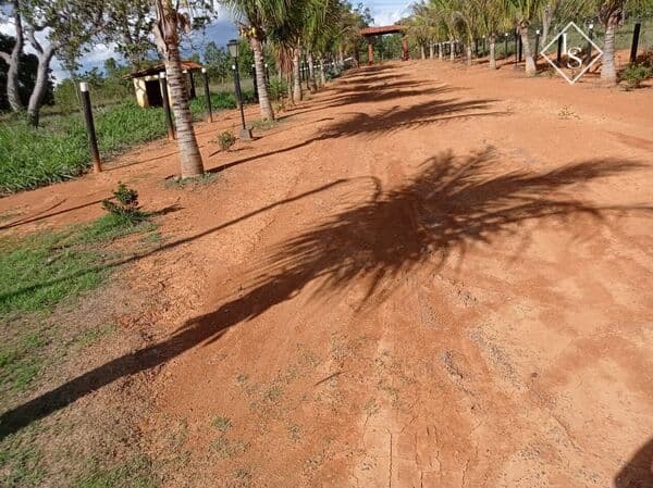 Fazenda de 6.5 hectare toda formada, 30 km trevão sentido Felixlândia , casa sede e caseiro com córrego