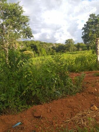 Fazenda 12 hectare em Baldim