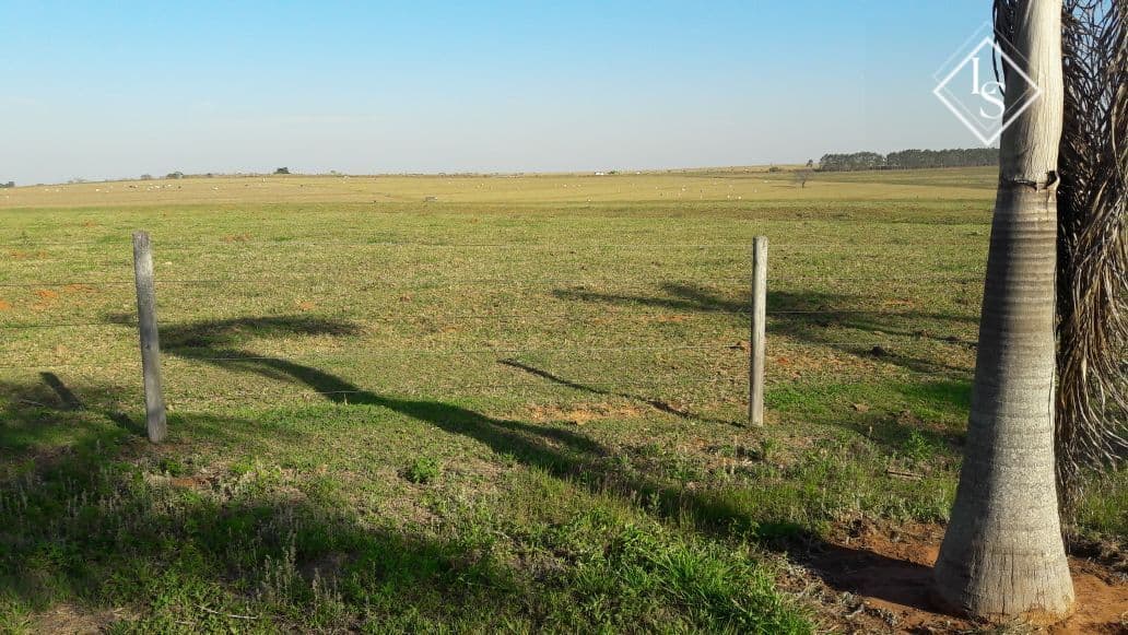 FAZENDA DE ALTO PADRÃO 1089 HECTARES NA REGIÃO DE PRESIDENTE PRUDENTE-SP - FRENTE RODOVIA - PLANA - TERRA CULTURA