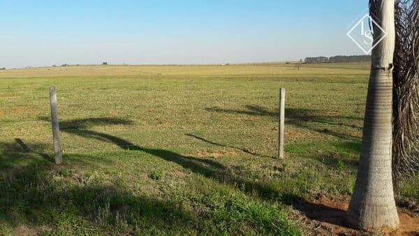 FAZENDA DE ALTO PADRÃO 1089 HECTARES NA REGIÃO DE PRESIDENTE PRUDENTE-SP - FRENTE RODOVIA - PLANA - TERRA CULTURA