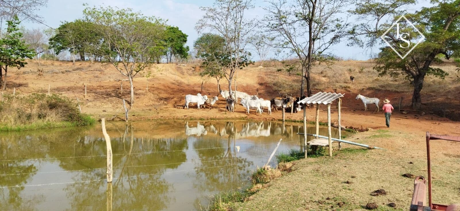 Fazenda de 66 hectares em Curvelo-MG ,com represas e nascente, porteira fechada