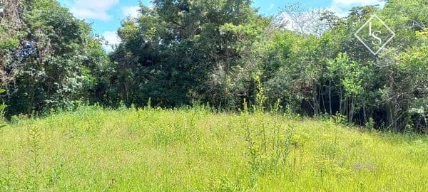 Sítio em Itaúna com área de 3 ha, Com muita água sendo dois córregos mina d´água