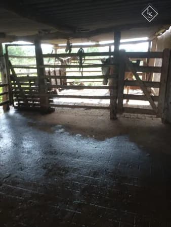 Fazenda de 32 há em Curvelo. Terra boa pra cultivo