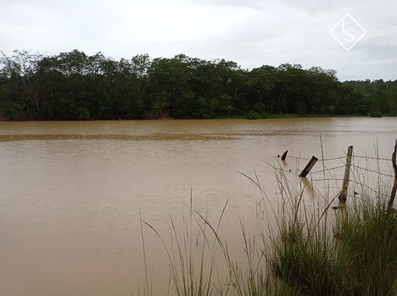 Fazenda de 217 hectares em Curvelo-MG ,com 2 lagoas e córrego