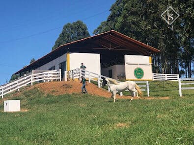 Haras/Fazenda Barbacena 44 hectares