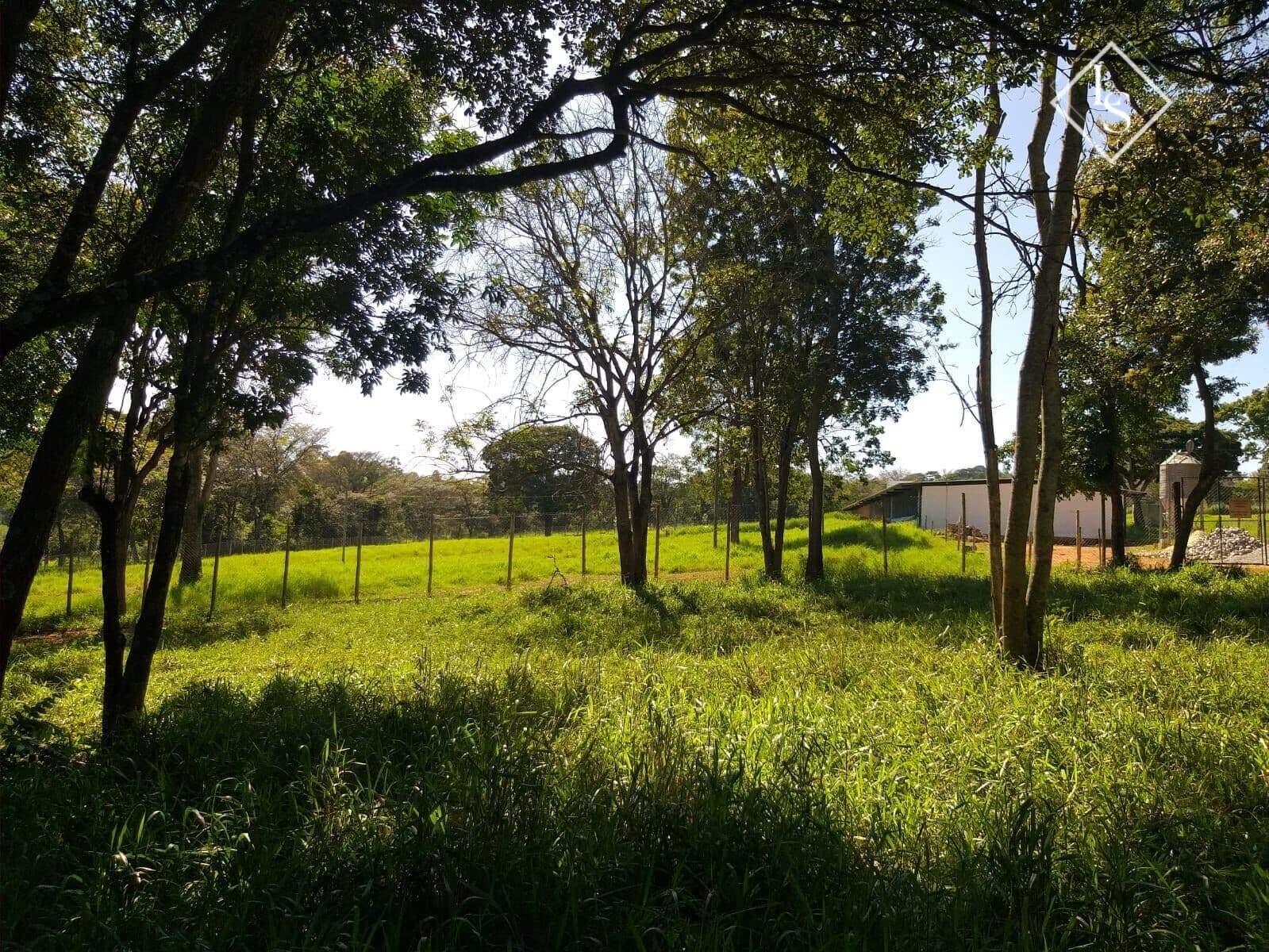 Fazenda em itauna 10 hectares