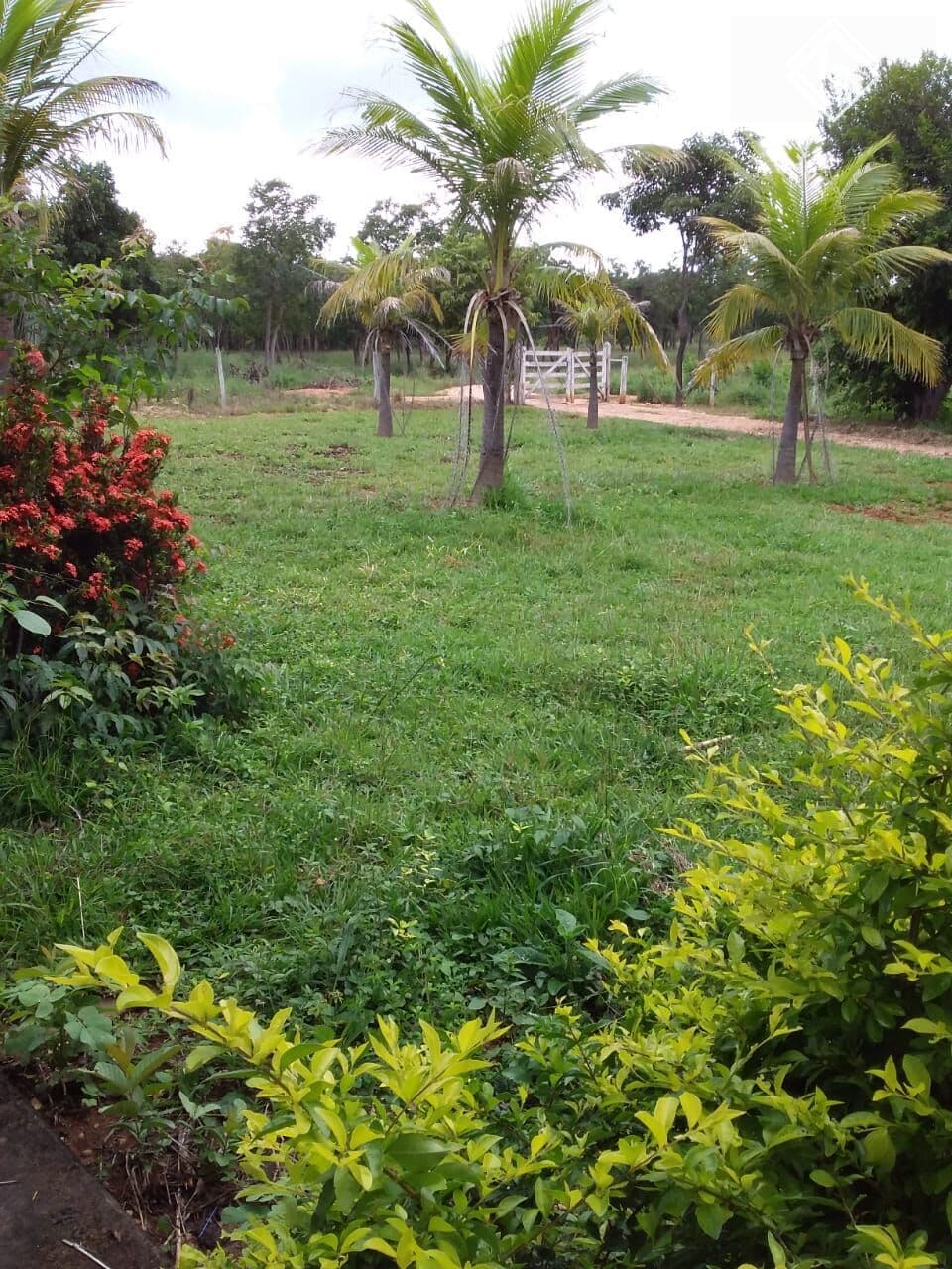 LINDA FAZENDA EM CURVELO - MG