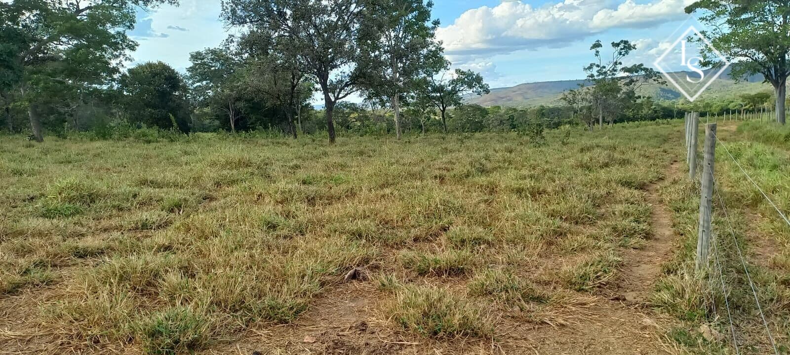 Fazenda em Curvelo/MG com área de 45 ha, casa, curral, formada, pomar, piscina