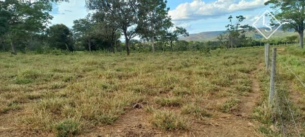 Fazenda em Curvelo/MG com área de 45 ha, casa, curral, formada, pomar, piscina