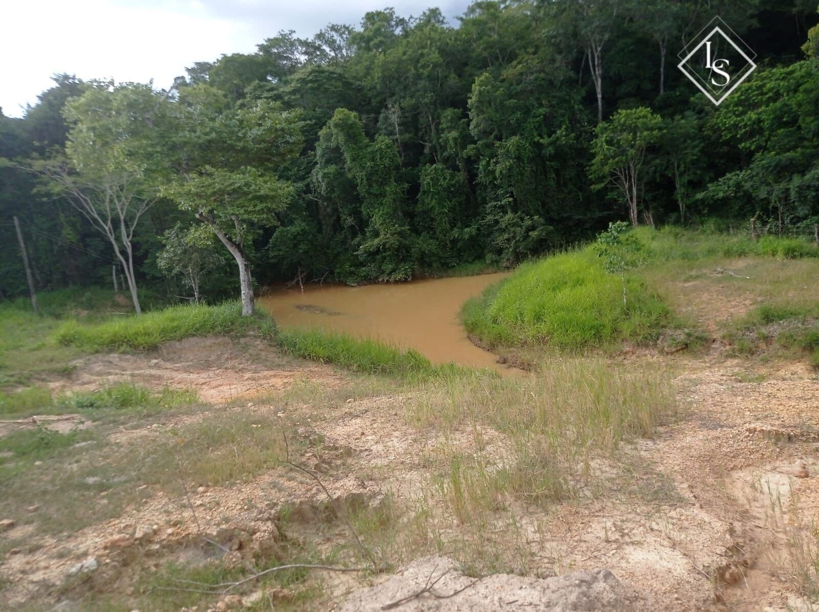 Fazendo em Curvelo/MG com 53 hectares com casa, pomar variado e terra boa