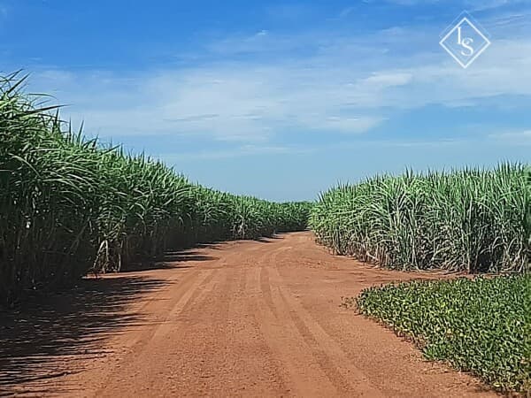 Fazenda em Uberaba/MG com 720 ha, plantação cana