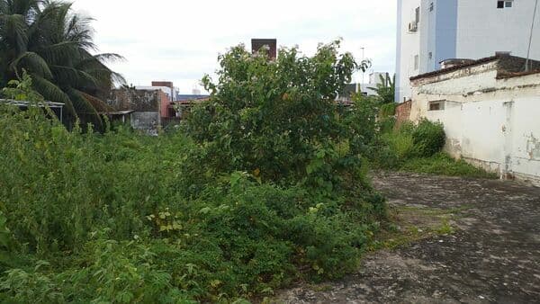 Lote/Terreno em João Pessoa - Cristo Redentor