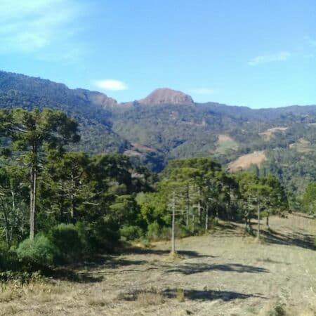 Terreno Urubici - Serra Catarinense