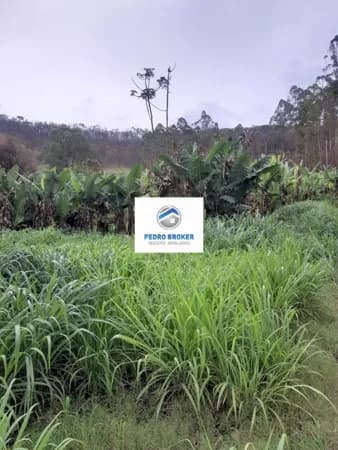 Sítio com 11ha, terras férteis, fácil acesso, ótima localização e preço! Teixeiras/MG