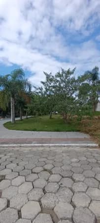 Incrivel terreno à venda no Aririu em Palhoça SC