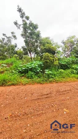 Lote/Terreno em Caldas Novas - Setor Lagoa Quente