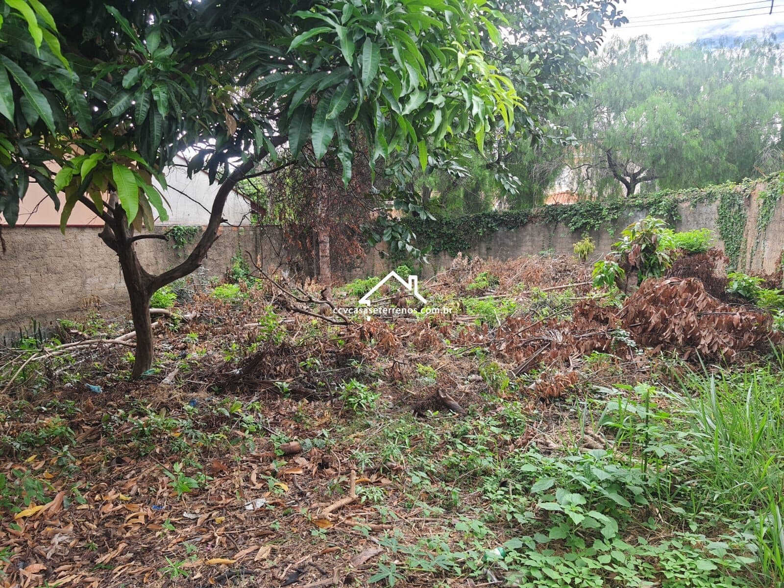 Terreno em Bolsão de Segurança