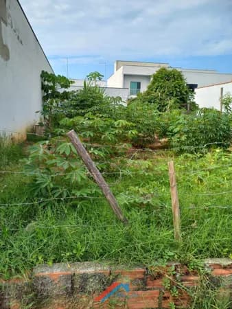 Terreno com bom potencial