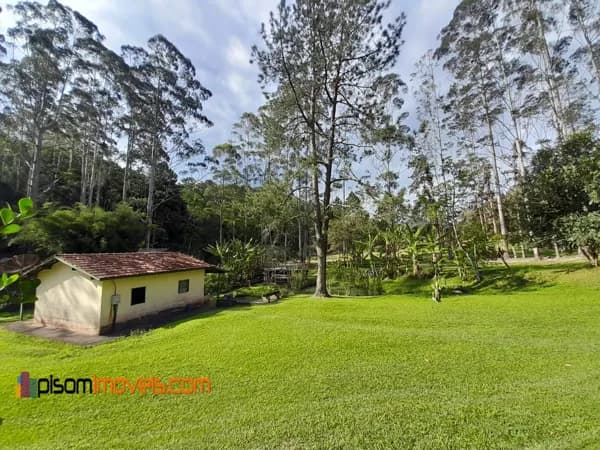 Sítio à venda de 66.400m2 no Pouso Frio, Natividade da Serra/SP
