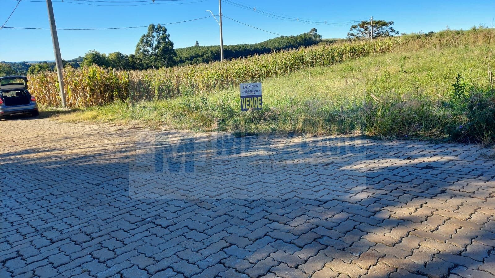 Lote/Terreno em São João da Urtiga - Centro