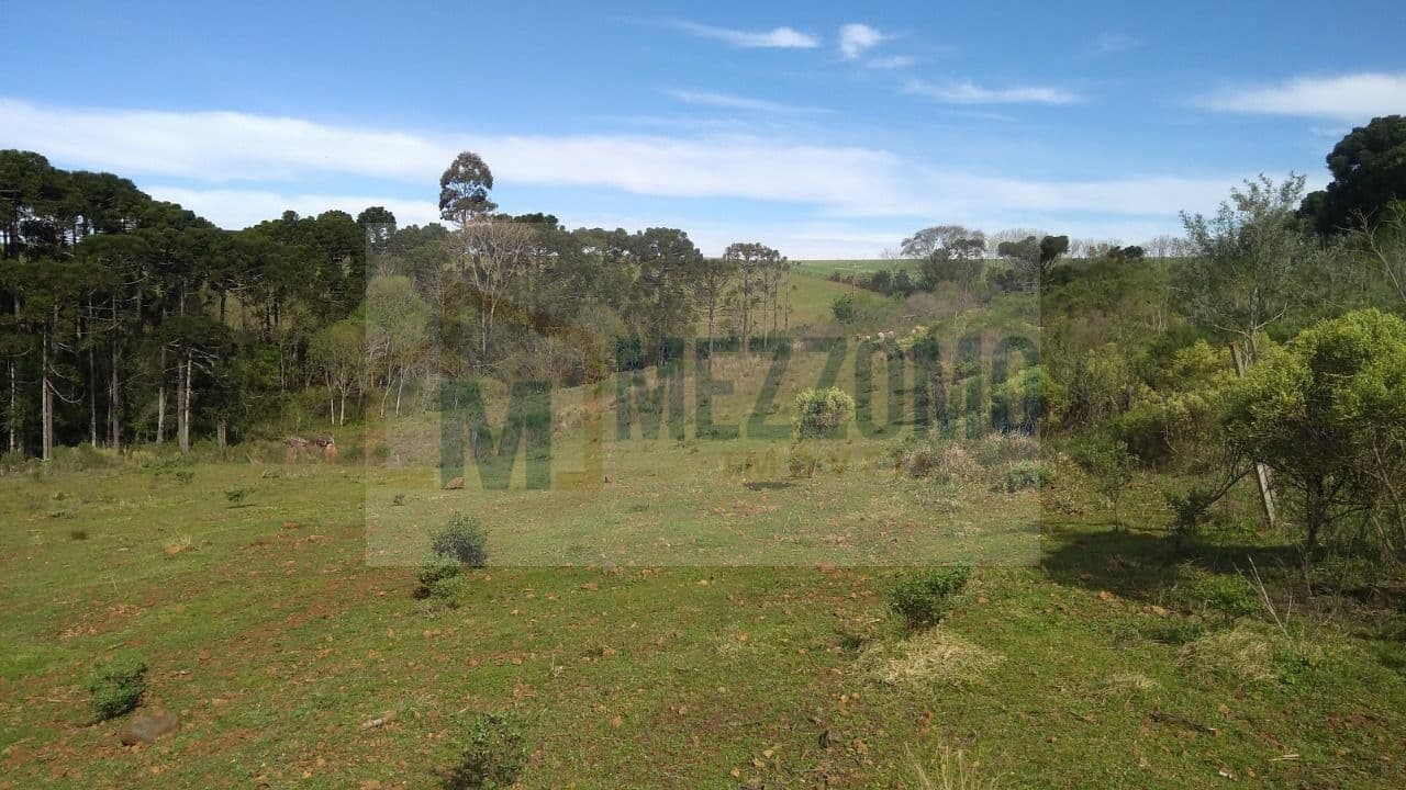 Área para Sítio