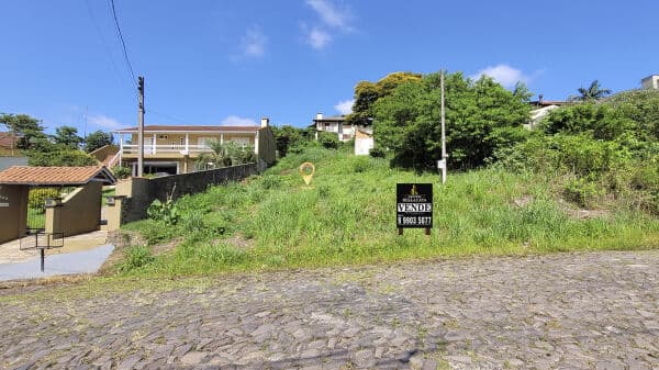 Lote/Terreno em Montenegro - São João