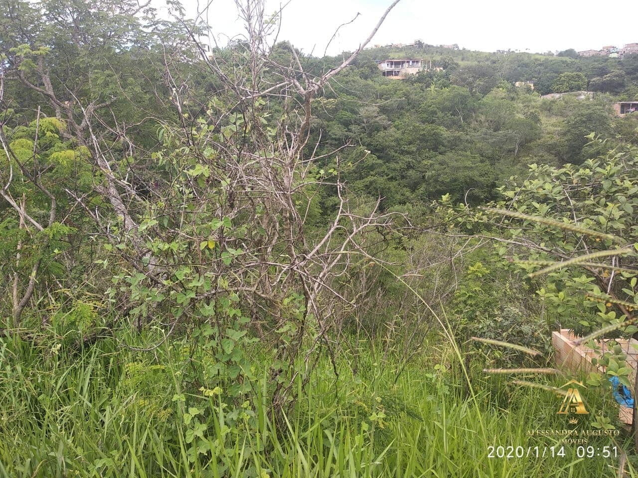 Terreno Lote BAIRRO IMPERAIL