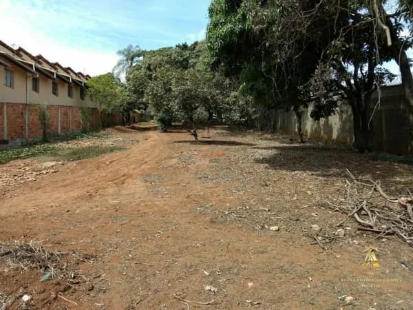 Terrenp Comercial COM 2.000 São Jose da Lapa - MG
