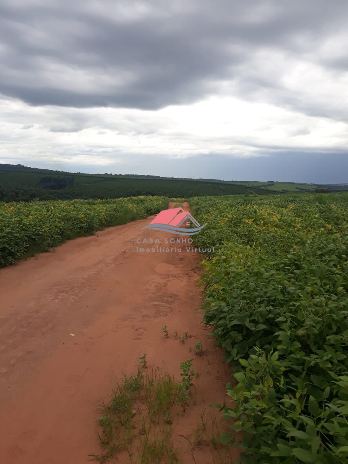 Vende-se Sítio no Cercado Grande em Mogi Guaçu-SP.